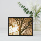 Sunset Tree Silhouette Postcard Postkarte (Stehend Vorderseite)