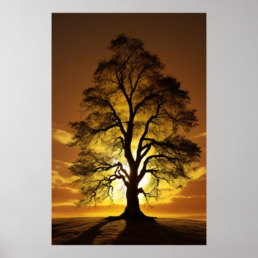 Sunset Tree Silhouetten Poster (Vorne)