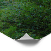 Sunset Truck Poster (Ecke)