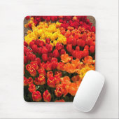 Sunset Tulip Garden Bed. Oregon Mousepad (Mit Mouse)