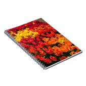 Sunset Tulip Garden Bed. Oregon Notizblock (Rechte Seite)