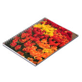 Sunset Tulip Garden Bed. Oregon Notizblock (Linke Seite)