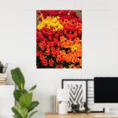 Sunset Tulip Garden Bed. Oregon Poster (Heimbüro)