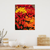 Sunset Tulip Garden Bed. Oregon Poster (Küche)