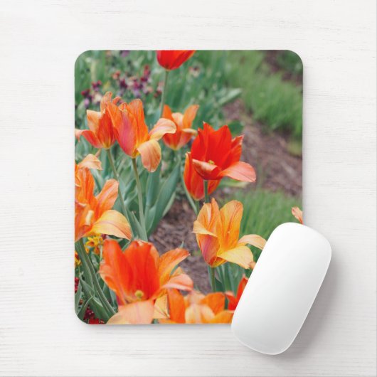 Sunset Tulips Mousepad (Mit Mouse)