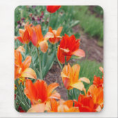 Sunset Tulips Mousepad (Vorne)