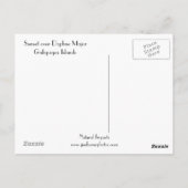 Sunset über Daphne Major Postkarte (Rückseite)