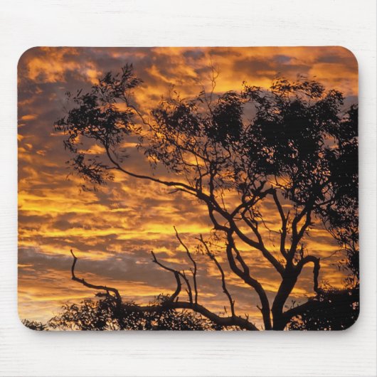 Sunset, Uluru-Kata Tjuta Nationalpark, Mousepad (Vorne)