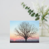 Sunset View Postkarte (Stehend Vorderseite)