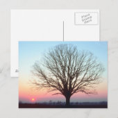 Sunset View Postkarte (Vorne/Hinten)
