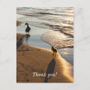 Sunset Walk mit Mommy Danke Postcard Postkarte