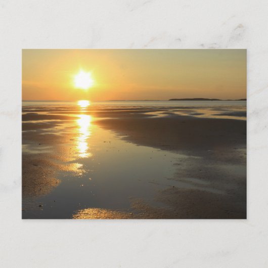 Sunset Wellfleet Bay Wildlife Sanctuary Cape Cod Postkarte (Vorderseite)