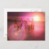 Sunset Windsurfing Postkarte (Vorne/Hinten)