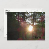 Sunset Woods Ich vermisse dich Postkarte (Vorne/Hinten)