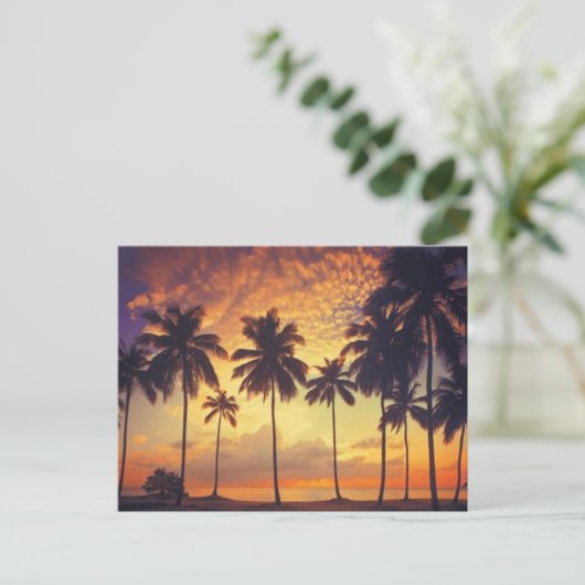 Sunsetpalm Postkarte (Stehend Vorderseite)