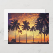 Sunsetpalm Postkarte (Vorne/Hinten)