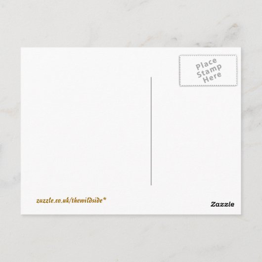 SUNSETS POSTKARTE (Rückseite)