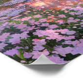 Sunset's Sakura Reverie Poster (Ecke)