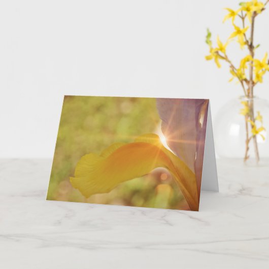 Sunshine and Iris Scripture Card Psalm 84:11 Karte (Gelbe Blume)