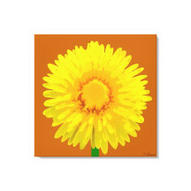 "Sunshine Blume" Canvas Print Design.