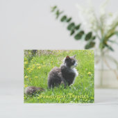 Sunshine Cat Postcard Postkarte (Stehend Vorderseite)