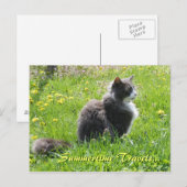 Sunshine Cat Postcard Postkarte (Vorne/Hinten)