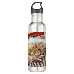 Sunshine Charlie Persian Cat Merchandise Edelstahlflasche