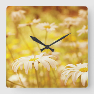 Sunshine Daisies Floral Wall Clock Quadratische Wanduhr