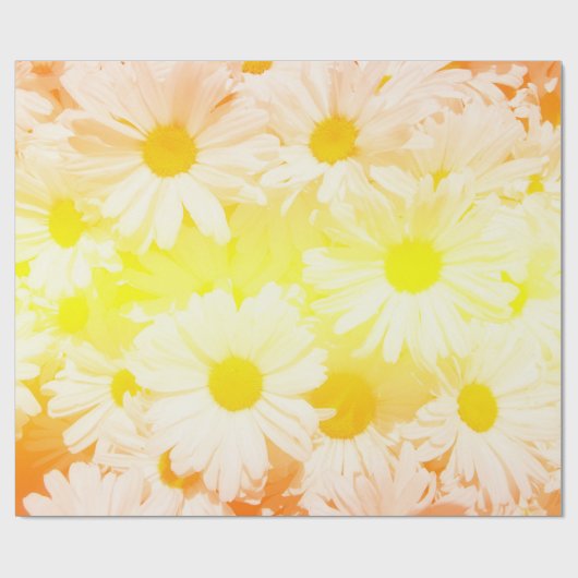 Sunshine Daisies Geschenkpapier (Flach)