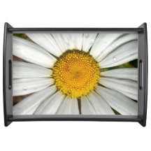 Sunshine Daisy Tray