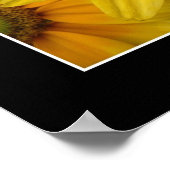 Sunshine II Poster (Ecke)