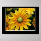 Sunshine II Poster (Vorne)