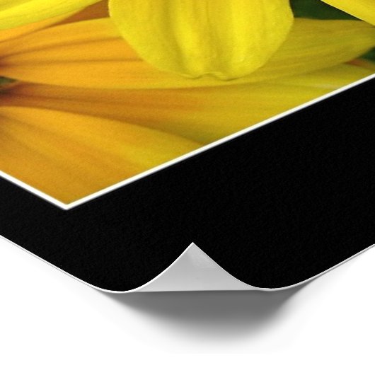 Sunshine Poster (Ecke)