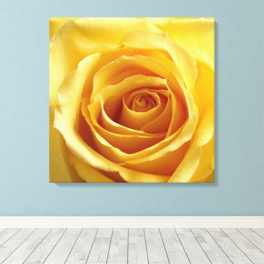 Sunshine Rose Stretched Canvas Print Leinwanddruck (Insitu (Holzboden))