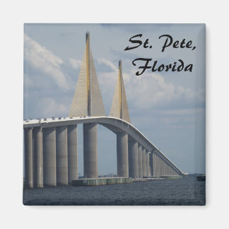 Sunshine Skyway Bridge Florida Foto Magnet