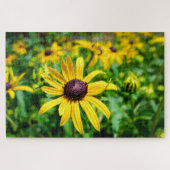 Sunshine Susans Puzzle (Horizontal)