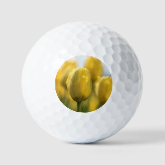 Sunshine tulips golfball (Vorderseite)