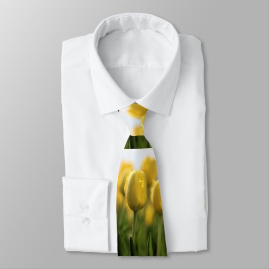Sunshine tulips krawatte (Gebunden)