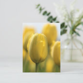 Sunshine tulips postkarte (Stehend Vorderseite)