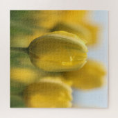 Sunshine tulips puzzle (Horizontal)