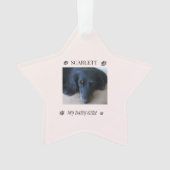 Sunshine Wrapped in Fur Tribute Ornament (Vorderseite)