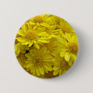 Sunshine Yellow Chrysanthema Button