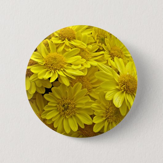 Sunshine Yellow Chrysanthema Button (Vorderseite)