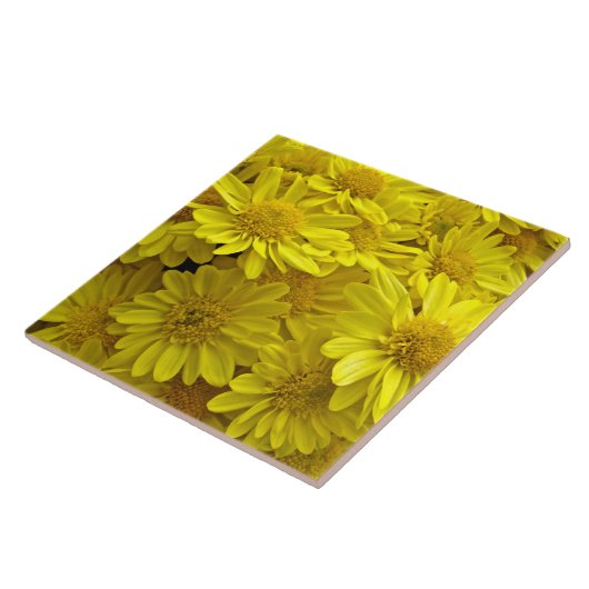 Sunshine Yellow Chrysanthema Fliese (Seite)