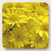 Sunshine Yellow Chrysanthema Getränkeuntersetzer (Vorderseite)
