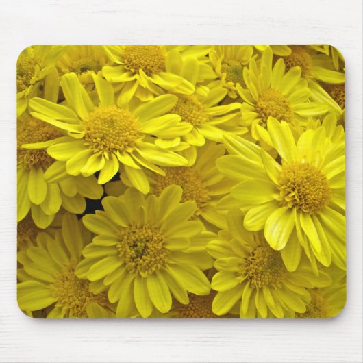 Sunshine Yellow Chrysanthema Mousepad (Vorne)