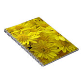 Sunshine Yellow Chrysanthema Notizblock (Rechte Seite)