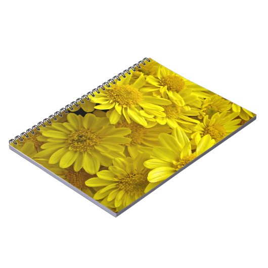 Sunshine Yellow Chrysanthema Notizblock (Linke Seite)