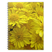 Sunshine Yellow Chrysanthema Notizblock (Vorderseite)