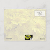 Sunshine Yellow Chrysanthema Postkarte (Rückseite)